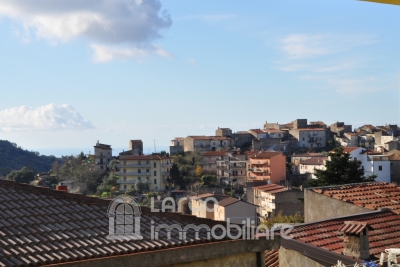 Due appartamenti in palazzina indipendente a Grisolia