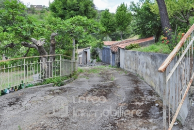 Affascinante proprietà indipendente con uliveto e frutteto 