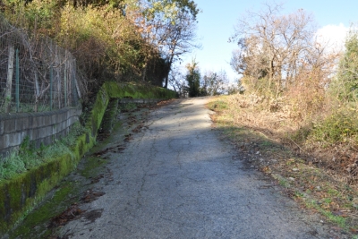 Terreno agricolo facile accesso