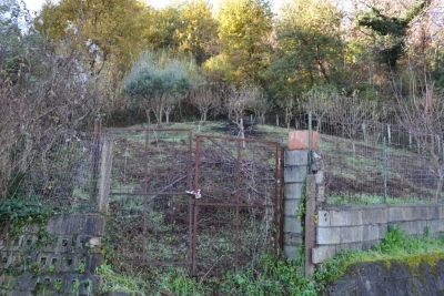 Terreno agricolo facile accesso