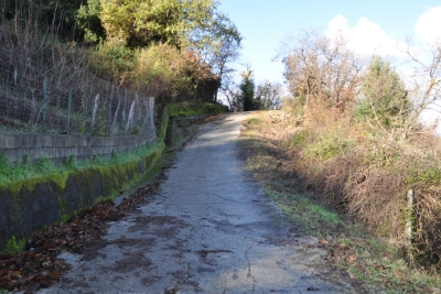 Terreno agricolo facile accesso