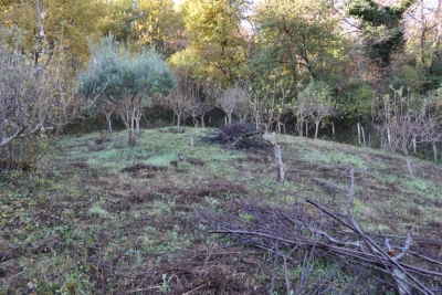 Terreno agricolo facile accesso