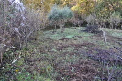 Terreno agricolo facile accesso