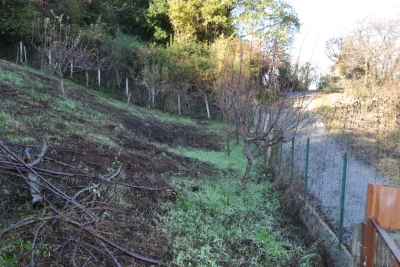 Terreno agricolo facile accesso