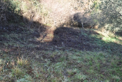 Terreno agricolo facile accesso