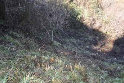 Terreno agricolo facile accesso