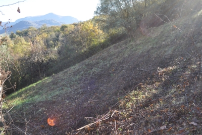 Terreno agricolo facile accesso