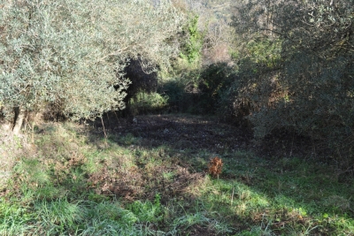 Terreno agricolo facile accesso