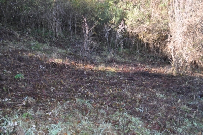 Terreno agricolo facile accesso