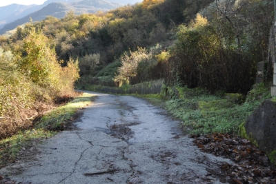 Terreno agricolo facile accesso